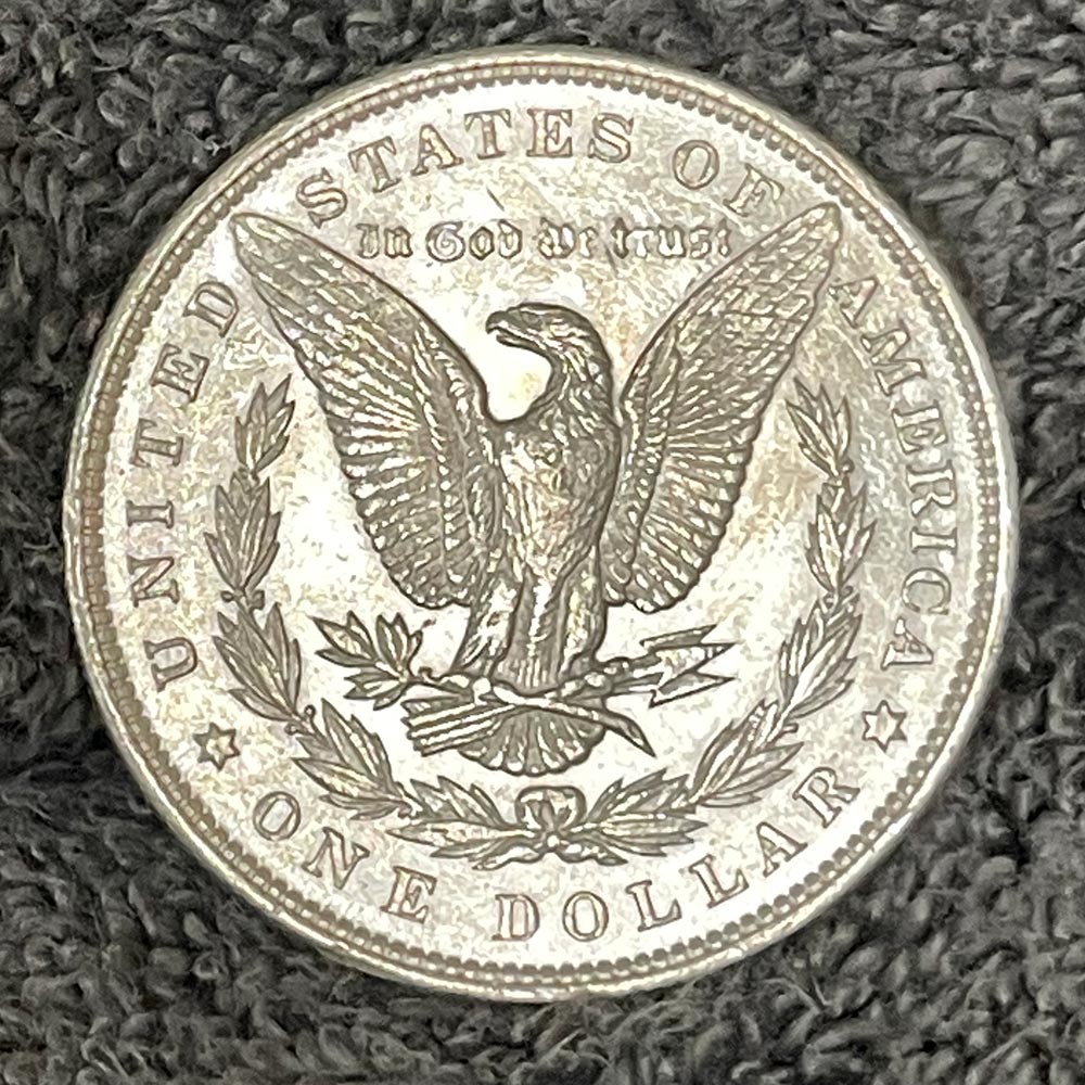 Just-Rescued-100-BU-Morgan-Dollars!