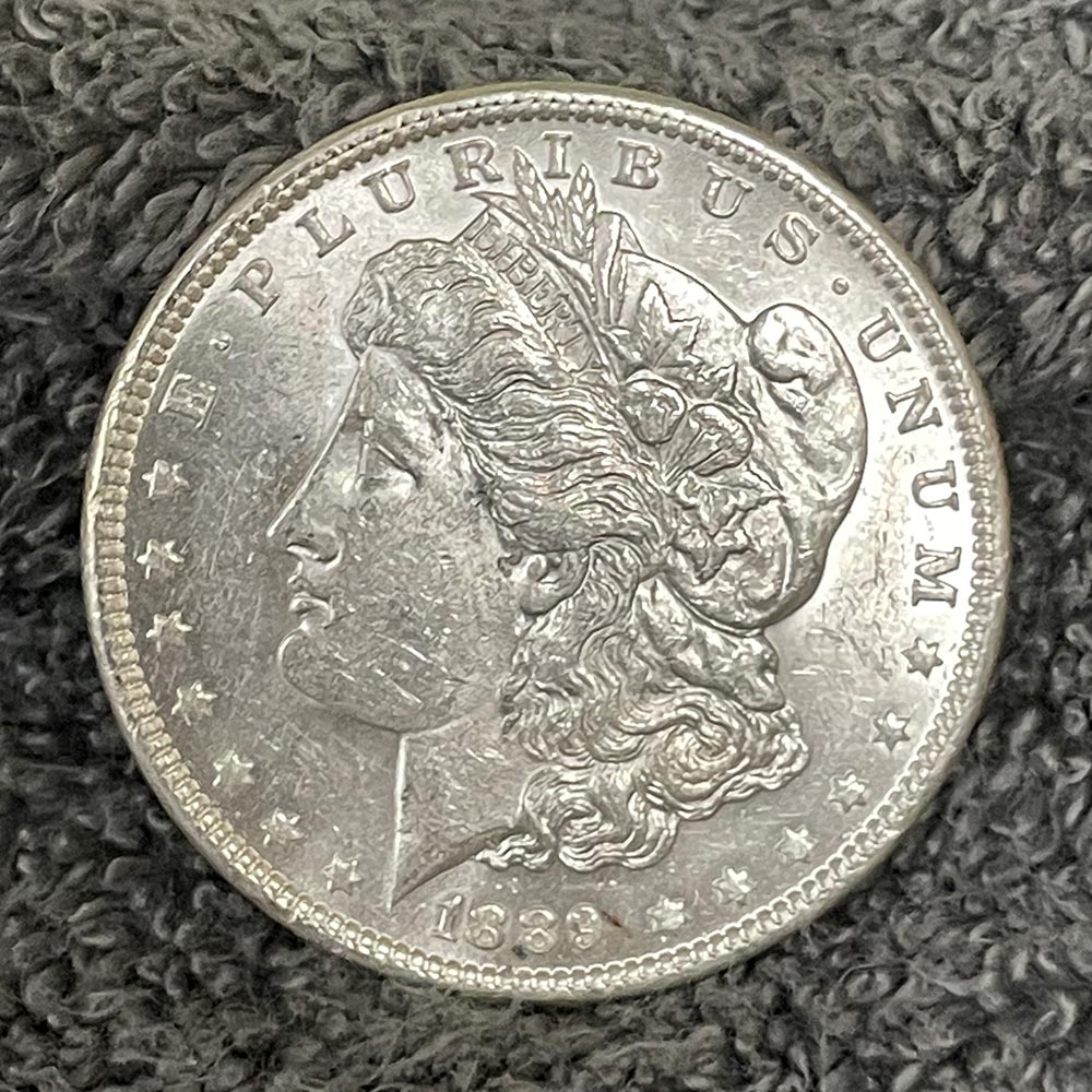 Just-Rescued-100-BU-Morgan-Dollars!